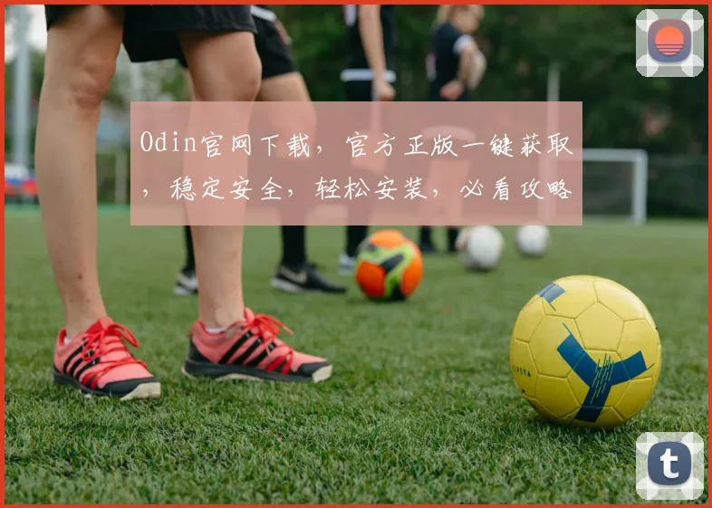 Odin官网下载，官方正版一键获取，稳定安全，轻松安装，必看攻略，两步完成