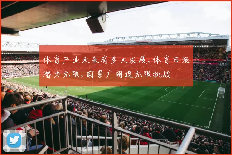体育产业未来有多大发展,体育市场潜力无限,前景广阔逗无限挑战